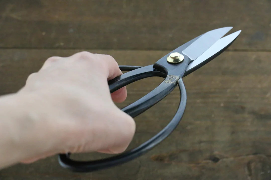 Thương hiệu Sakai Takayuki Kéo - Thép không gỉ chiều dài 180mm