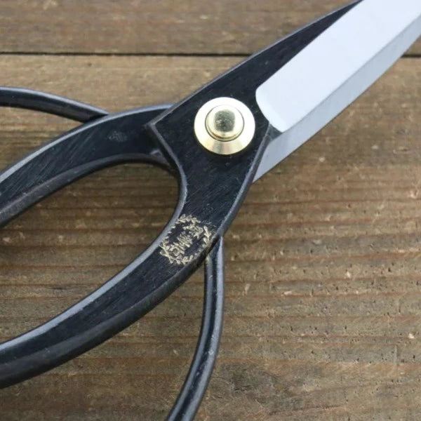 Thương hiệu Sakai Takayuki Kéo - Thép không gỉ chiều dài 180mm