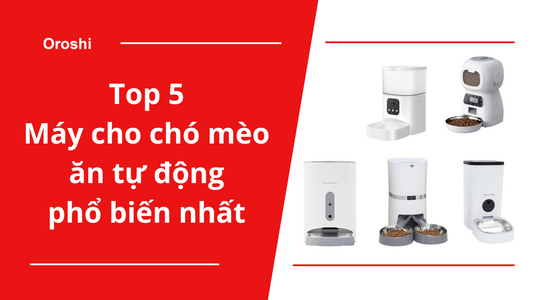 Top 5 máy cho chó mèo ăn tự động tiện lợi phổ biến nhất tại thị trường Nhật Bản cuối tháng 2 năm 2024