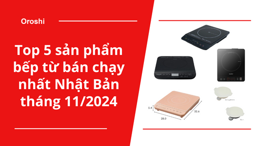 Top 5 sản phẩm bếp từ bán chạy nhất Nhật Bản tháng 11/2024