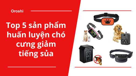 Ngạc nhiên với hiệu quả của 5 sản phẩm huấn luyện chó cưng giảm tiếng sủa đến từ Nhật Bản