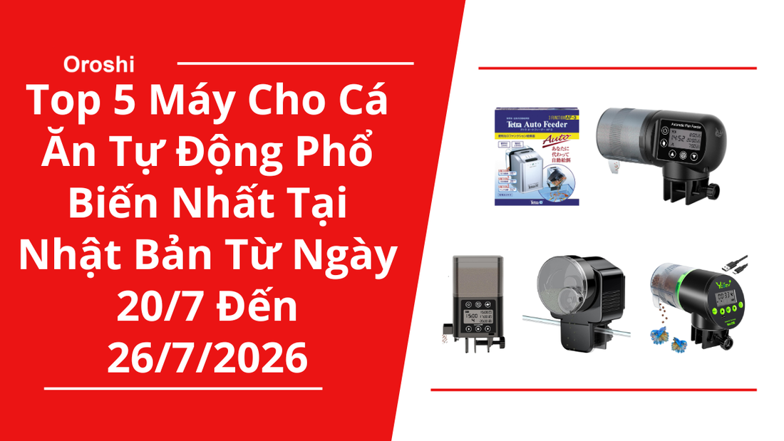 Top 5 Máy Cho Cá Ăn Tự Động Phổ Biến Nhất Tại Nhật Bản Trong Tuần Từ Ngày 20/7 Đến 26/7/2026