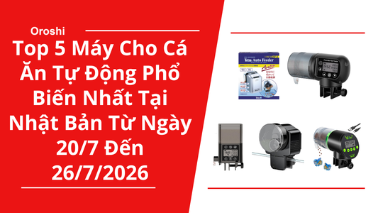 Top 5 Máy Cho Cá Ăn Tự Động Phổ Biến Nhất Tại Nhật Bản Trong Tuần Từ Ngày 20/7 Đến 26/7/2026