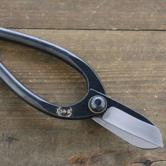 Thương hiệu Sakai Takayuki kéo bếp thép không gỉ chiều dài 165mm