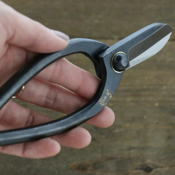 Thương hiệu Sakai Takayuki kéo bếp thép không gỉ chiều dài 165mm